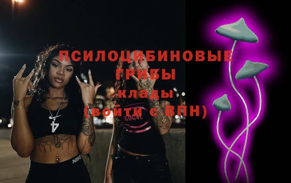 прущая мука Каменногорск