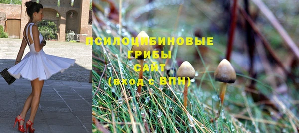 прущая мука Каменногорск