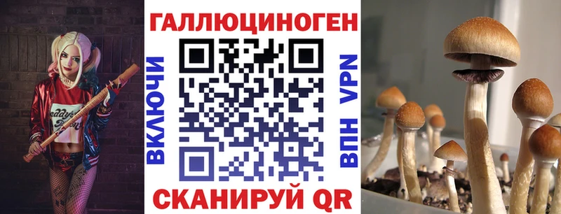 Псилоцибиновые грибы мухоморы Купить Новопавловск